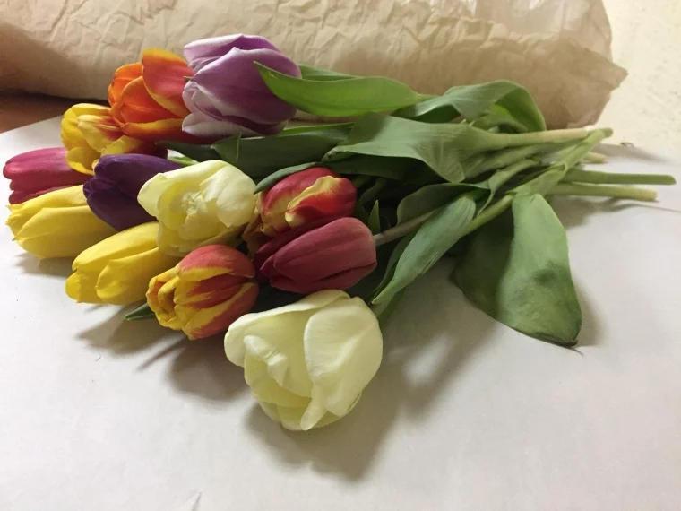 Фото: Читатели А42.RU получат скидку на тюльпаны 2