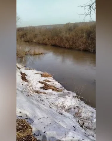 Фото: <a href=https://t.me/ilyaseredyuk>Илья Середюк</a>/ Telegram