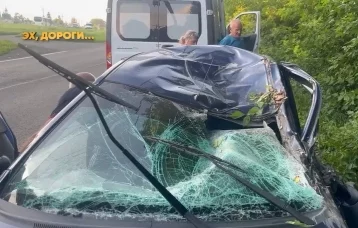 Фото: В Кузбассе пьяный водитель улетел в кювет, опрокинулся и обвинил во всём телефон 1