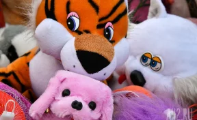 Житель Нижегородской области украл мягкие игрушки из автомата и раздал прохожим