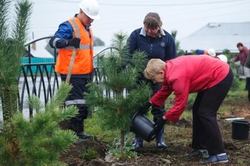 Фото: «Кузбассразрезуголь» озеленил два села в Новокузнецком районе 3