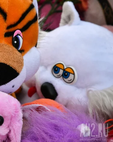 Житель Нижегородской области украл мягкие игрушки из автомата и раздал прохожим