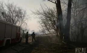 В Кузбассе на поляне возле леса ребёнок устроил пожар