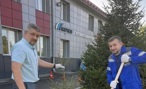 Сотрудники «Кузбассэнергосбыта» в Белове высадили деревья в честь 20-летия «Мечела»