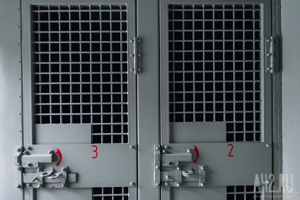 Замгубернатора Вологодской области Алексеев встретит Новый год в СИЗО