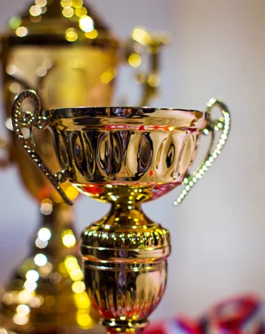 В Чечне на юниорском первенстве СКФО по вольной борьбе произошла массовая драка