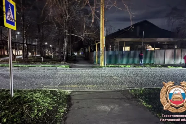 В Ростовской области водитель сбил пенсионера и оставил его умирать