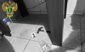 В Москве мать убила 6-летнего сына и попыталась покончить с собой