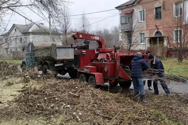 В Кемерове в Предзаводском начали массово вырубать заросли клёна