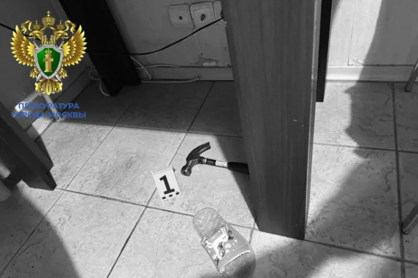 В Москве мать убила 6-летнего сына и попыталась покончить с собой