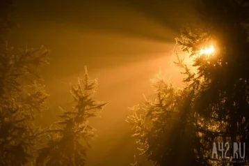 Фото: Синоптики назвали причину сильного тумана в Кемерове 1