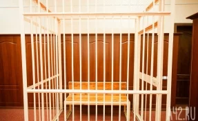 В Кемерове суд отправил в колонию бездомного, который избил поленом женщину