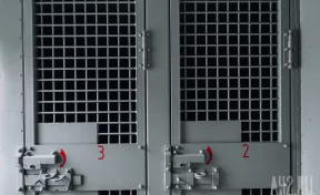 Замгубернатора Вологодской области Алексеев встретит Новый год в СИЗО