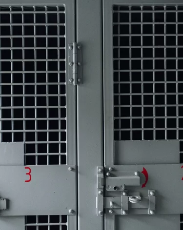 Замгубернатора Вологодской области Алексеев встретит Новый год в СИЗО