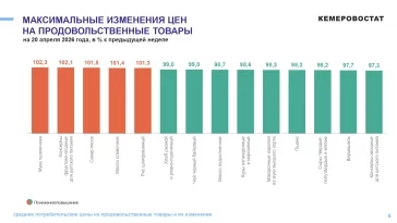 Инфографика: Кемеровостат