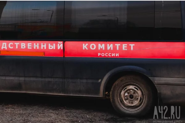 Бастрыкин заинтересовался гибелью двух 10-летних мальчиков в Прокопьевске