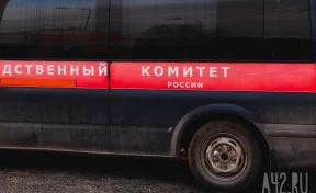 Бастрыкин заинтересовался гибелью двух 10-летних мальчиков в Прокопьевске