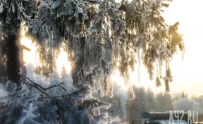 Синоптики: 14 февраля в Кузбассе похолодает до -31