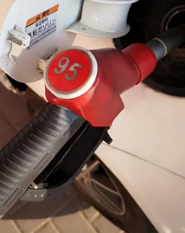 Фото: А42.RU