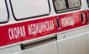 Пьяный водитель выехал на тротуар и задавил 10-летнюю девочку в Алтайском крае