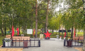 В Кузбассе за год реализуют 58 проектов, предложенных жителями