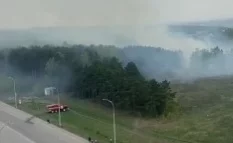 В Кемерове загорелась трава в Серебряном бору 