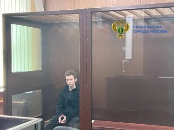 Фото: В Москве сын актёра Вадима Демчога получил 2 года колонии за дропперство 1
