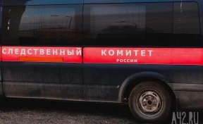 В Кузбассе подростки подрались из-за девушки: СК и прокуратура начали проверку