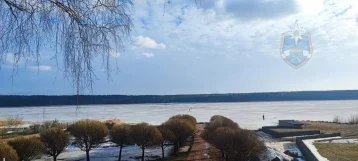 Фото: В Ленинградской области мужчина попытался спасти собаку и провалился под лёд 1