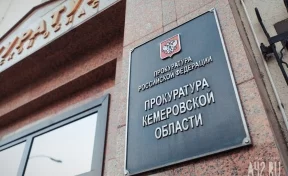 В Кузбассе на голову годовалому ребёнку упал снег с крыши: прокуратура организовала проверку