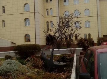 Фото: Названы сроки, когда в Кемерове завершат установку кованого дерева в память о трагедии в «Зимней вишне» 1