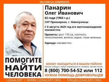 Фото: 62-летний дачник пропал в Новокузнецке 1