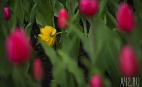 Россиян в мае ожидают длинные выходные