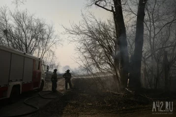 Фото: В Кузбассе на поляне возле леса ребёнок устроил пожар 1
