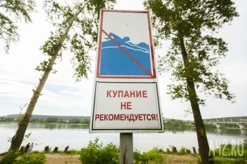 Фото: Роспотребнадзор обнаружил нарушения в качестве воды на пляжах в Кузбассе   1