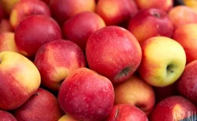 Диетолог Ходжес заявила о пользе еженедельного употребления яблок и рыбы