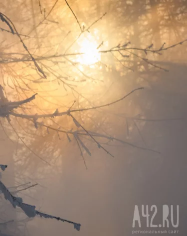 Синоптики: в Кузбассе резко похолодает до -38 на выходных