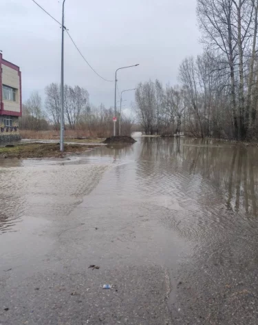 Фото: <a href=https://t.me/ilyin_nk/4934>Денис Ильин</a> / Телеграм