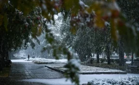 Синоптики назвали причину сильного снегопада в сентябре в Кемерове