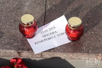 Фото: Кемеровчане начали нести цветы к памятникам в память о погибших в Подмосковье 1