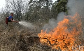 В Кузбассе началось патрулирование лесов, в выходные и праздники патрули лесохраны усилят