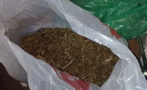 Кузбассовец хранил марихуану у себя дома ради «успокоительного эффекта»