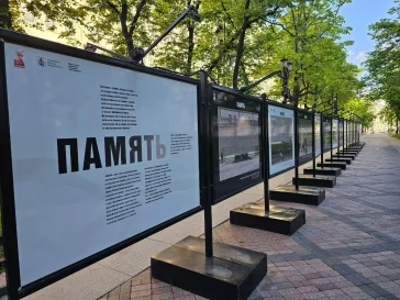 Фото: Губернатор Илья Середюк нашёл частичку Кузбасса в центре Москвы 2