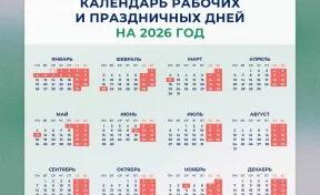 Россиянам рассказали, сколько продлятся следующие новогодние каникулы