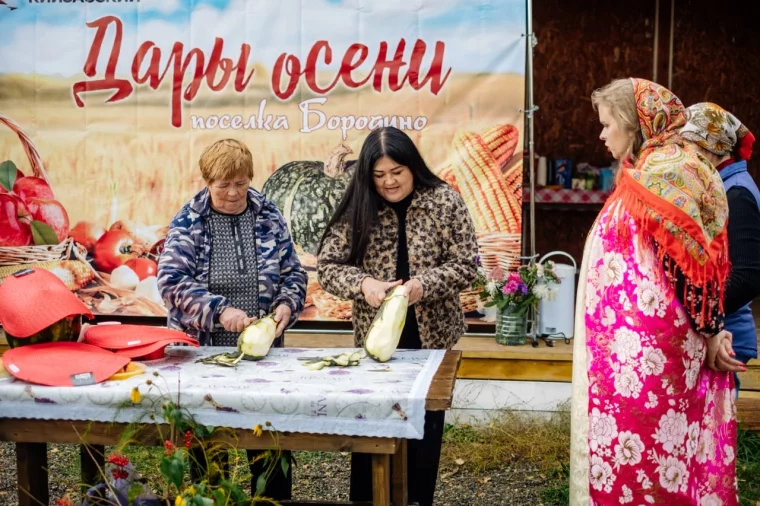 Фото: Тыква-гигант и картошка-миниатюринка: «Разрез Кийзасский» организовал праздник урожая в посёлке Бородино 2