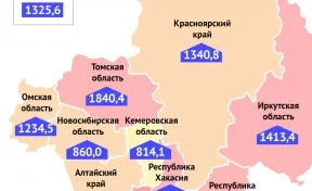 Опубликована статистика по заболеваемости коронавирусом в Кузбассе за неделю