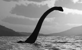 Учёные не опровергают существования знаменитого чудовища в озере Лох-Несс