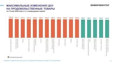 Инфографика: Кемеровостат