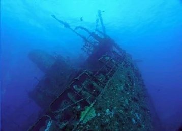 Фото: У берегов Крыма найдено судно с сокровищами 1