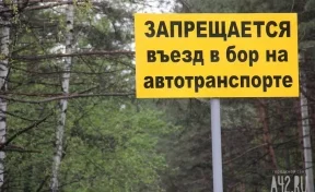 В Кемерове на въезде в Сосновый бор установят камеры видеонаблюдения
